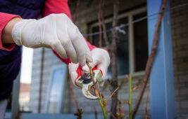 Do These 7 Things In The Fall To Maintain A Healthy Garden