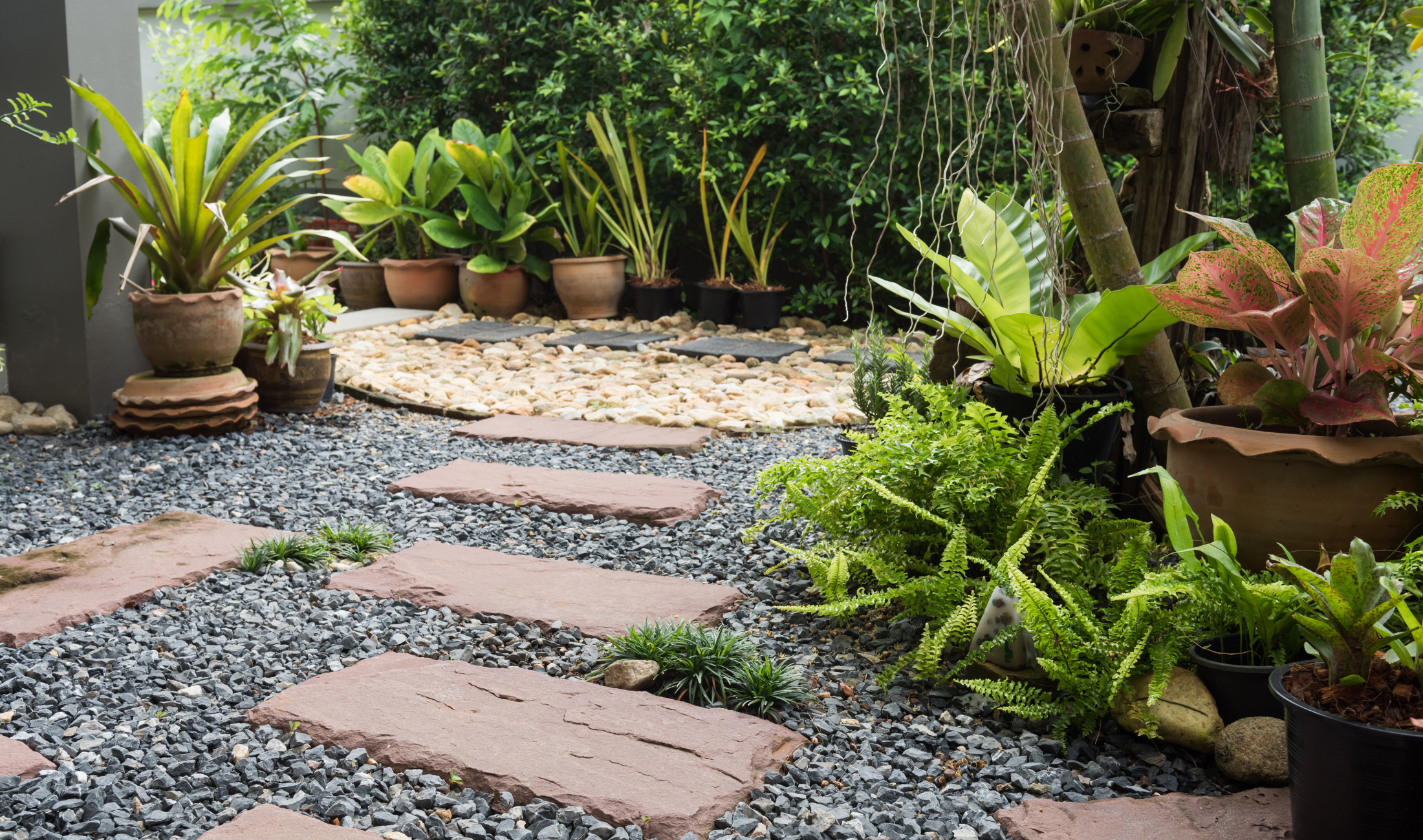 A garden with a mixed material path.