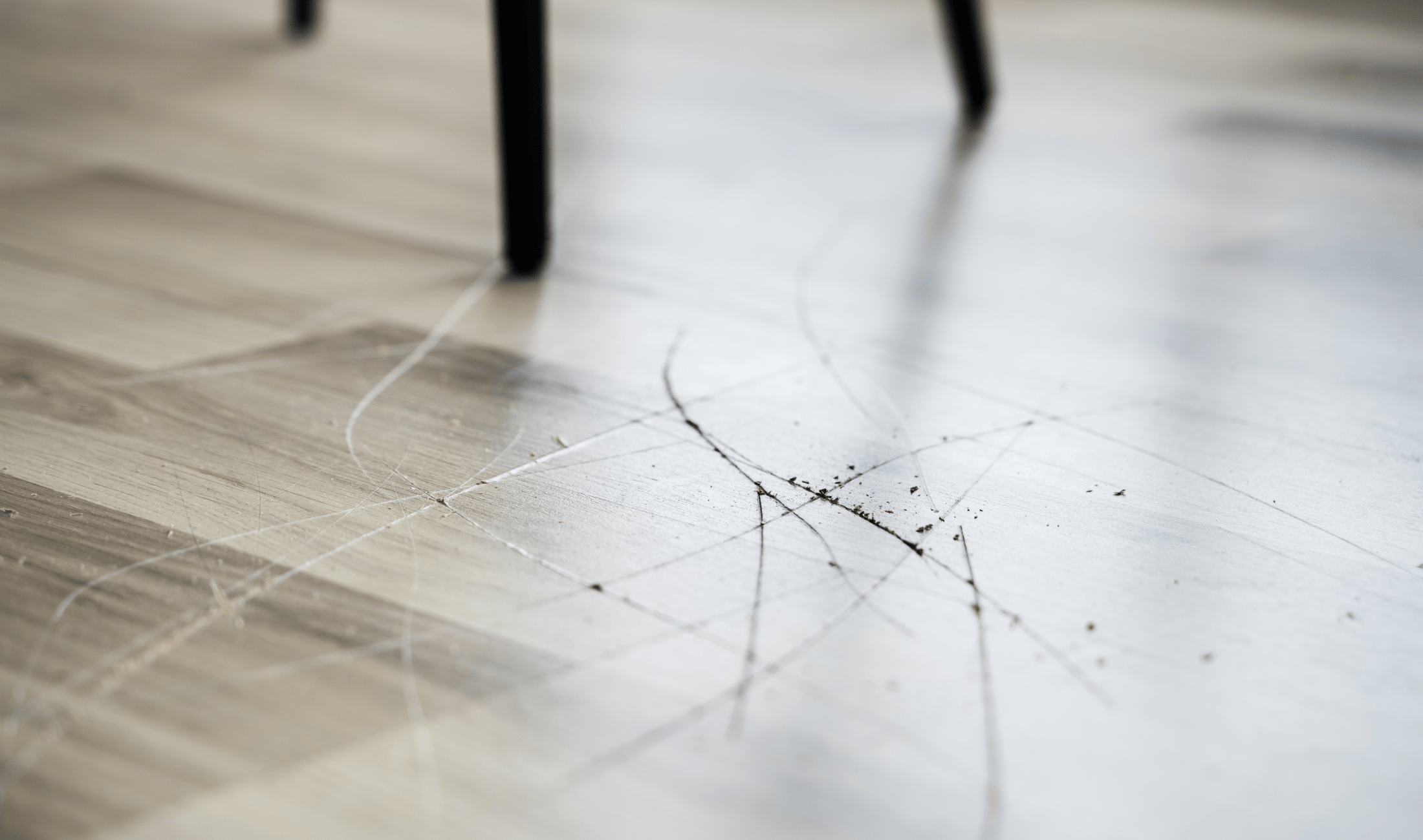 A visible series of scratches on a hardwood floor.