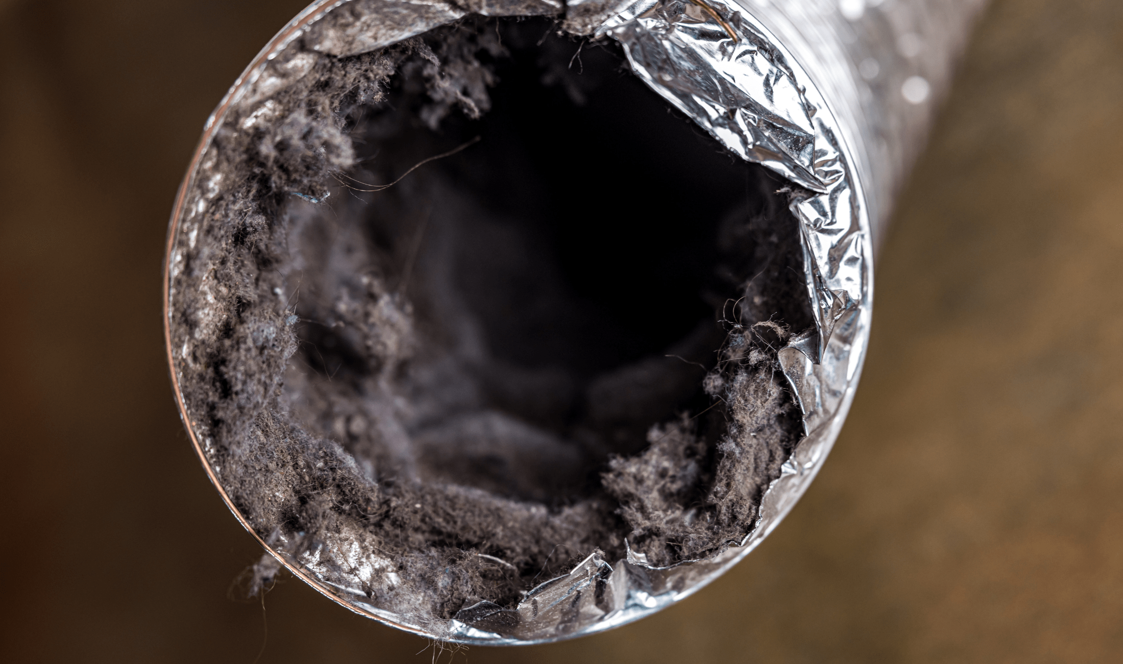 A full, dirty dryer vent.