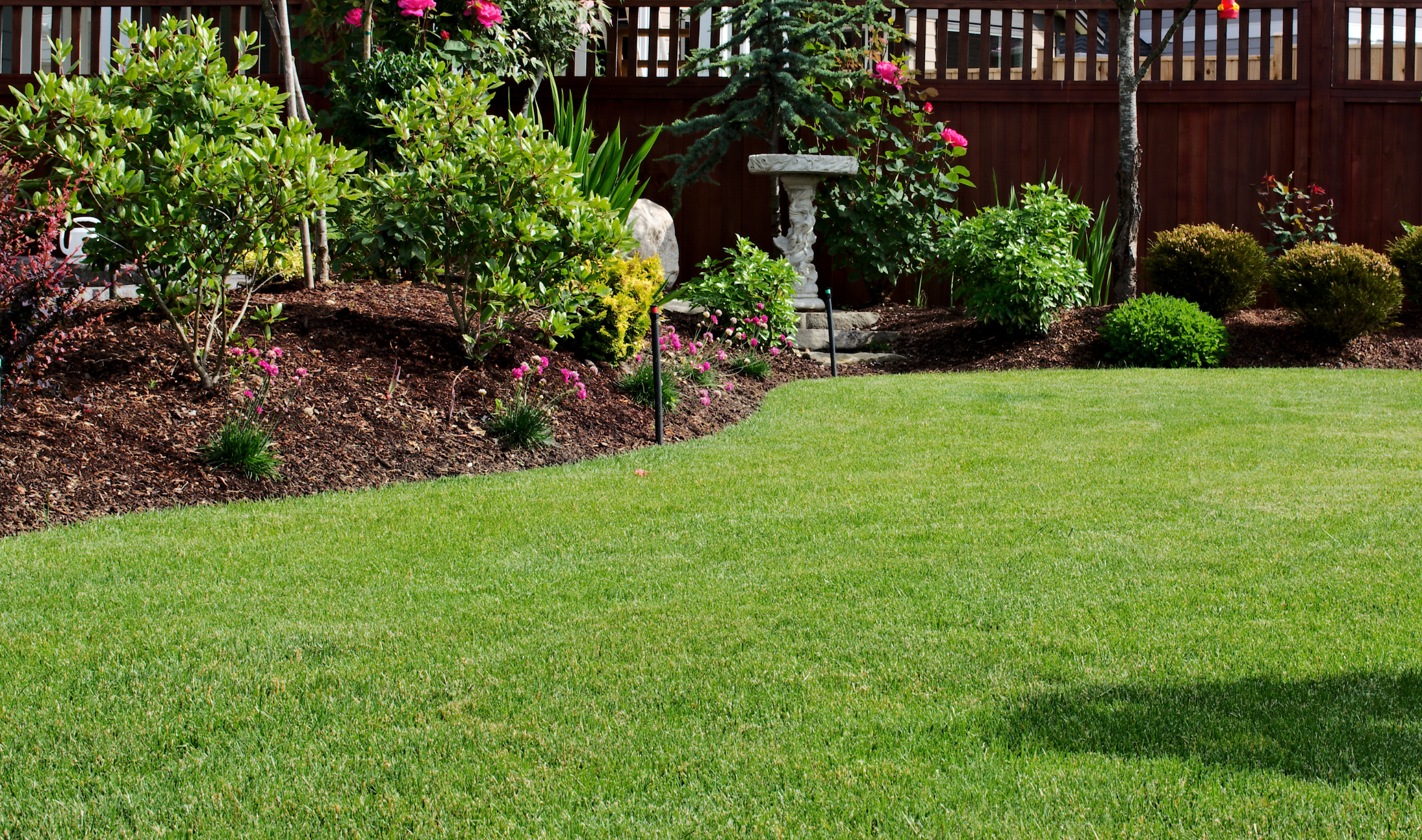 A well manicured lawn with some garden beds.