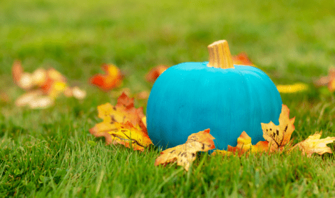 A painted blue pumpkin sitting in the grass surrounded by autumn. lea ves.