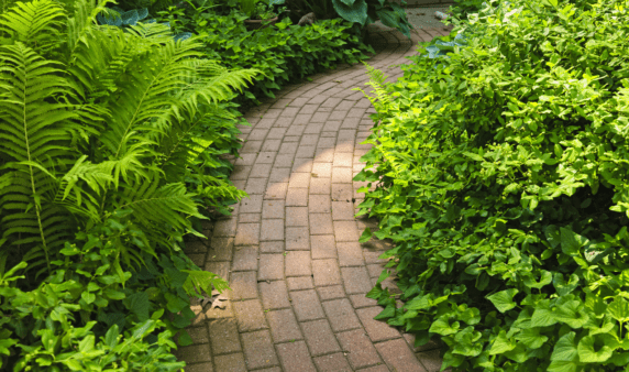 A garden with a brick laid path.