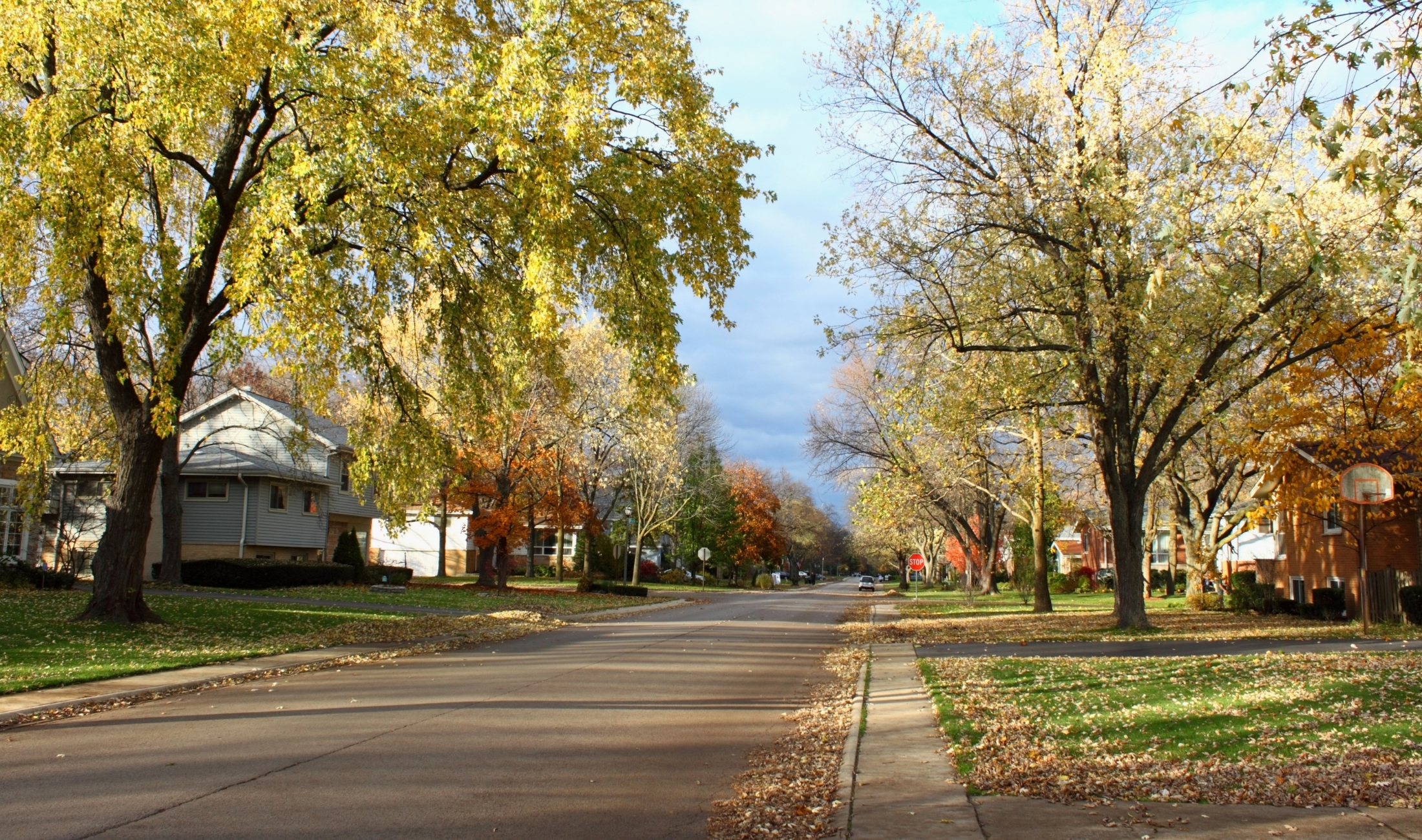 A neighbourhood street.