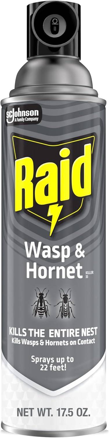 A bottle of Raid Wasp & Hornet Spray. 
