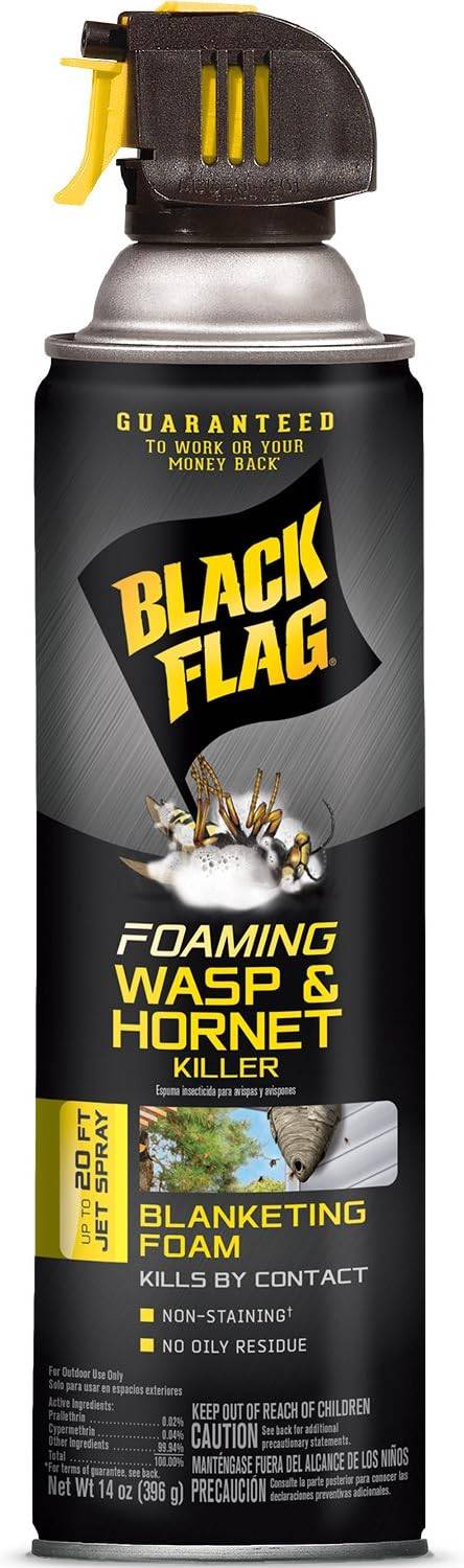 A bottle of Black Flag Foaming Wasp & Hornet Killer. 