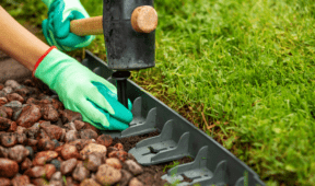 Landscaping Mistakes That Will Leave Your Yard With More Weeds