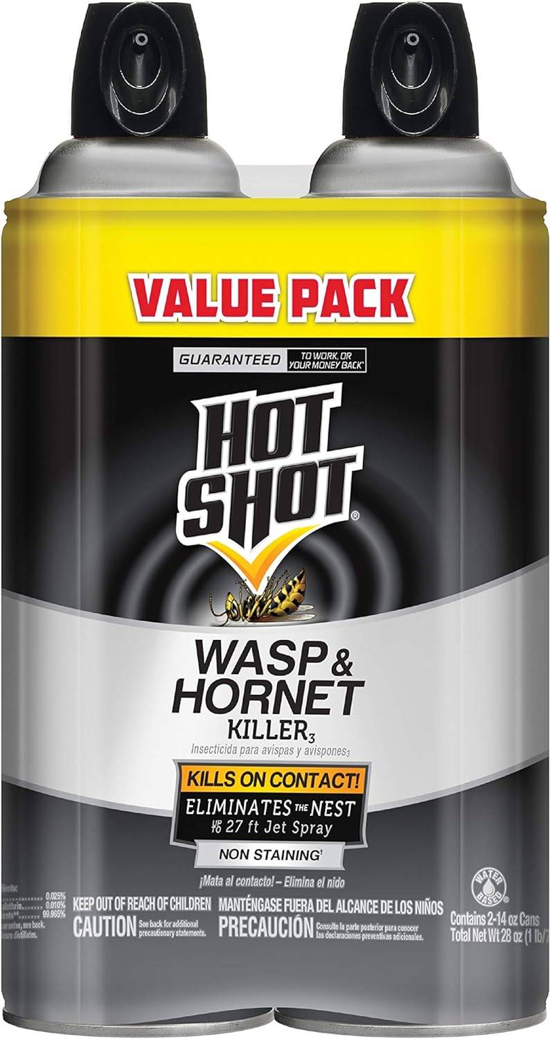 Two bottles of Hot Shot Wasp & Hornet Killer. 