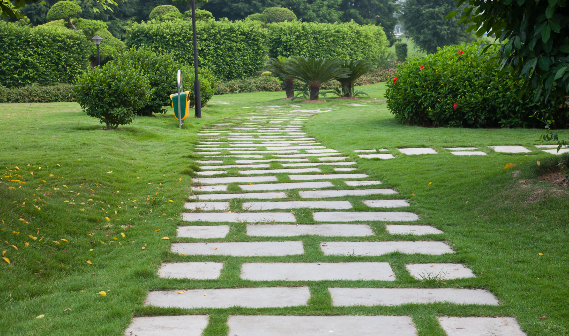 A wide, concrete paver path through a public garden.