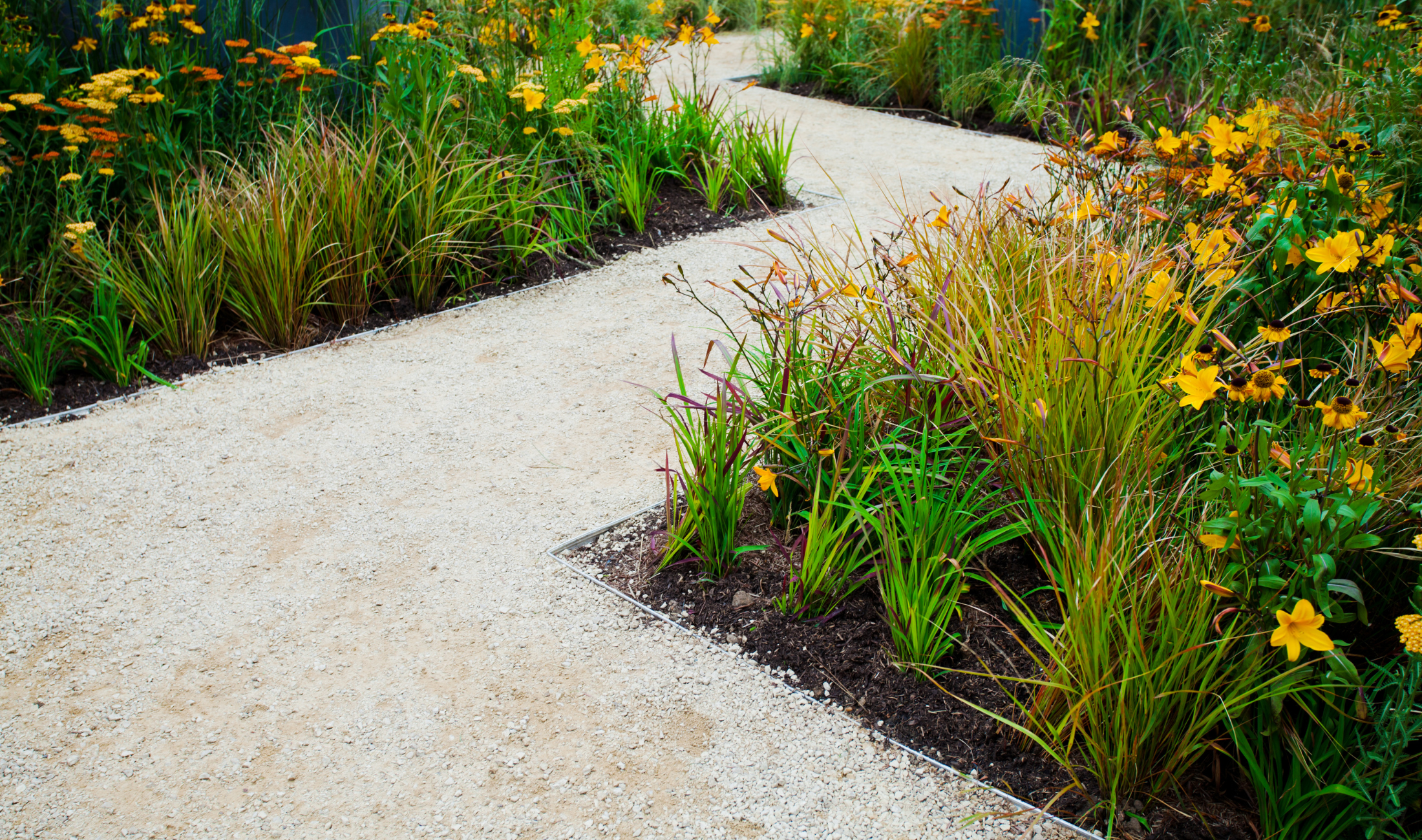 An angular gravel path between garden beds.