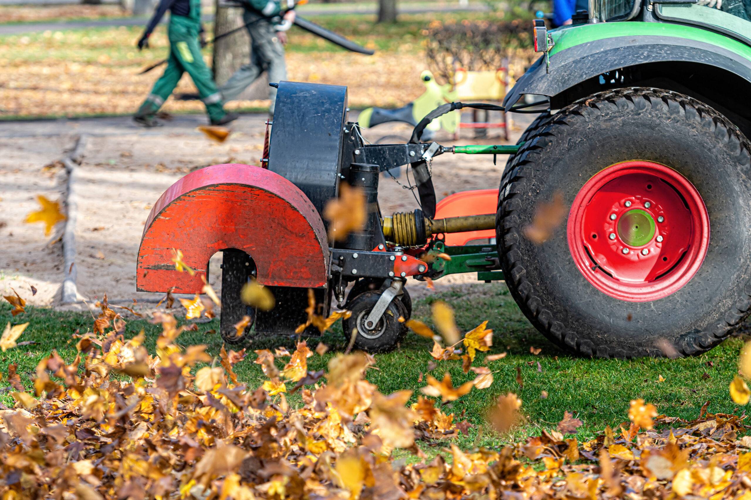 a tractor with a blower cleans a city park lawn and blows away autumn leaves, close-up view