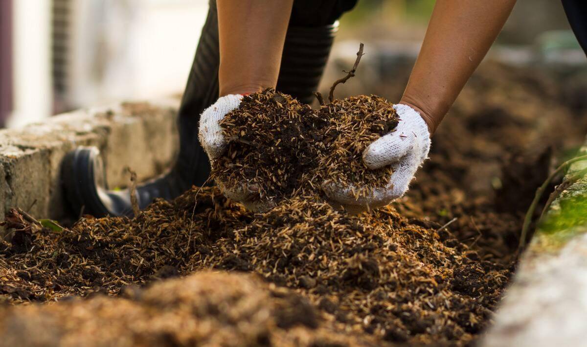 A pair of gloved hands mixing soil.