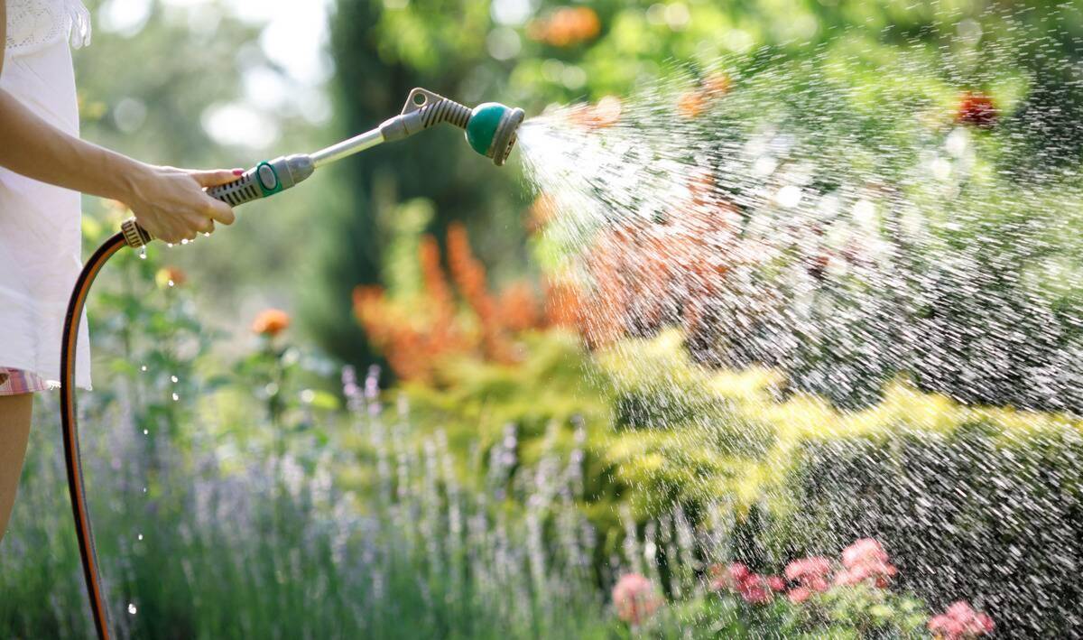 A person using a hose to water their garden.