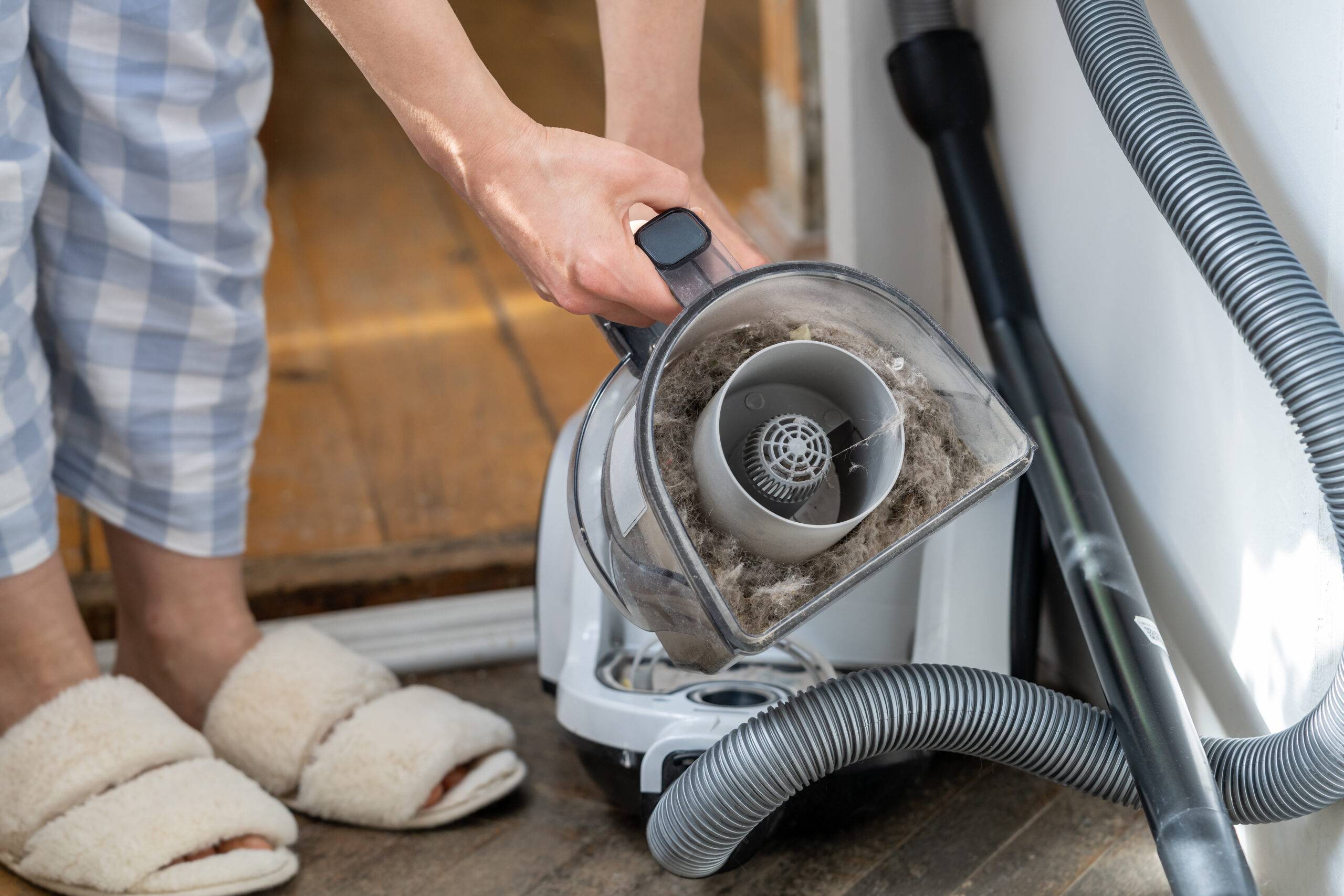 Female opening dust filter out of vacuum cleaner at home. Hoover container full of dirt, fur, pet hair after cleaning at home. Dust in apartment is source of allergies. Household chores concept