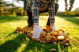 Should You Rake Fallen Leaves, Or Leave Them On Your Lawn?