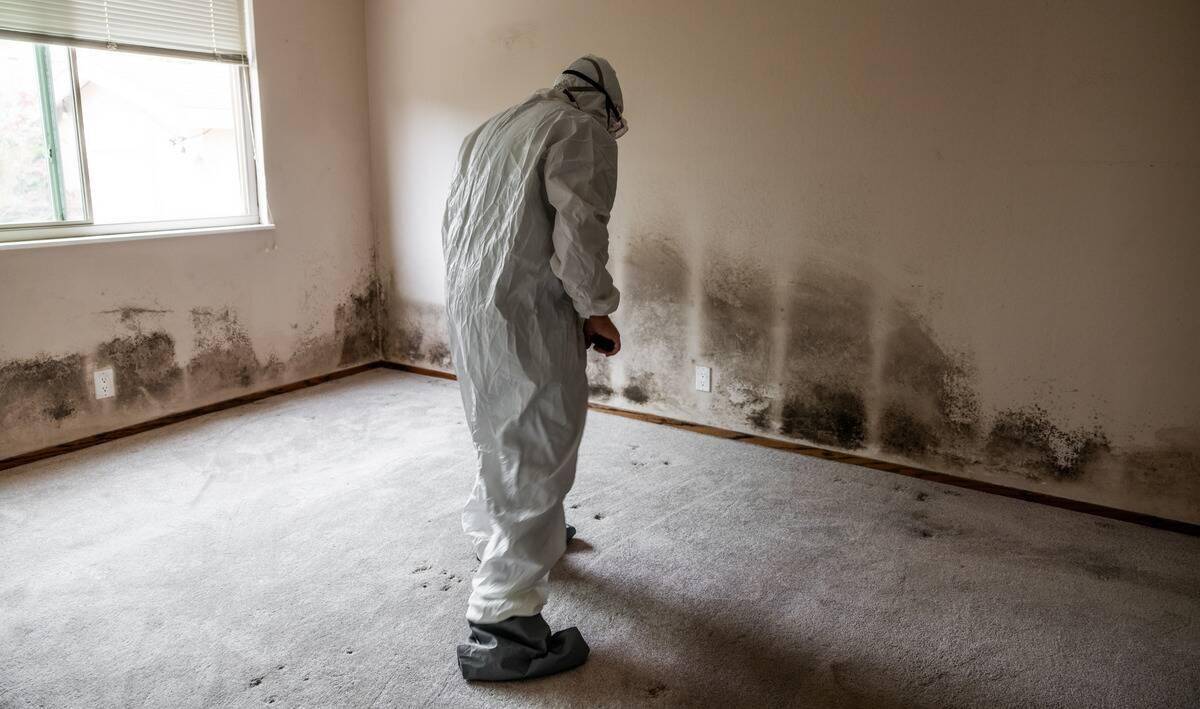 A person in a proective suit in a room where the walls are covered with large patches of mold.