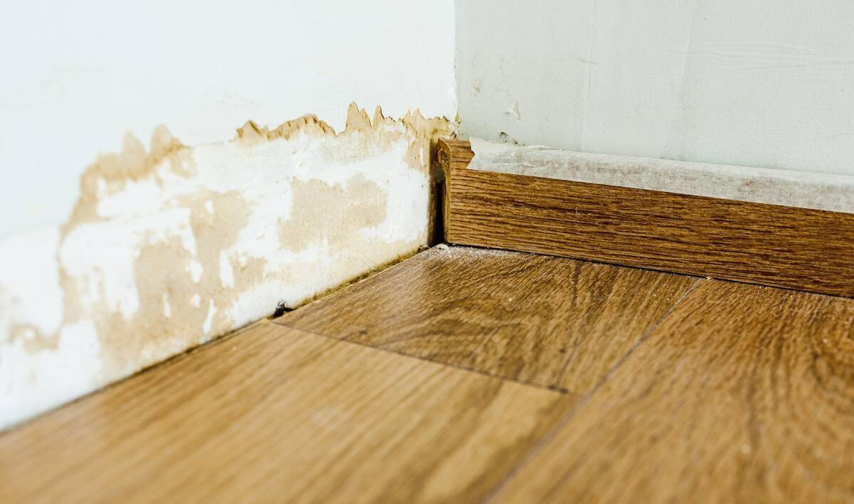 A close photo of a corner where two walls and the floor meet. One of the baseboards is in rough shape, the other is gone, chipped paint behind it.