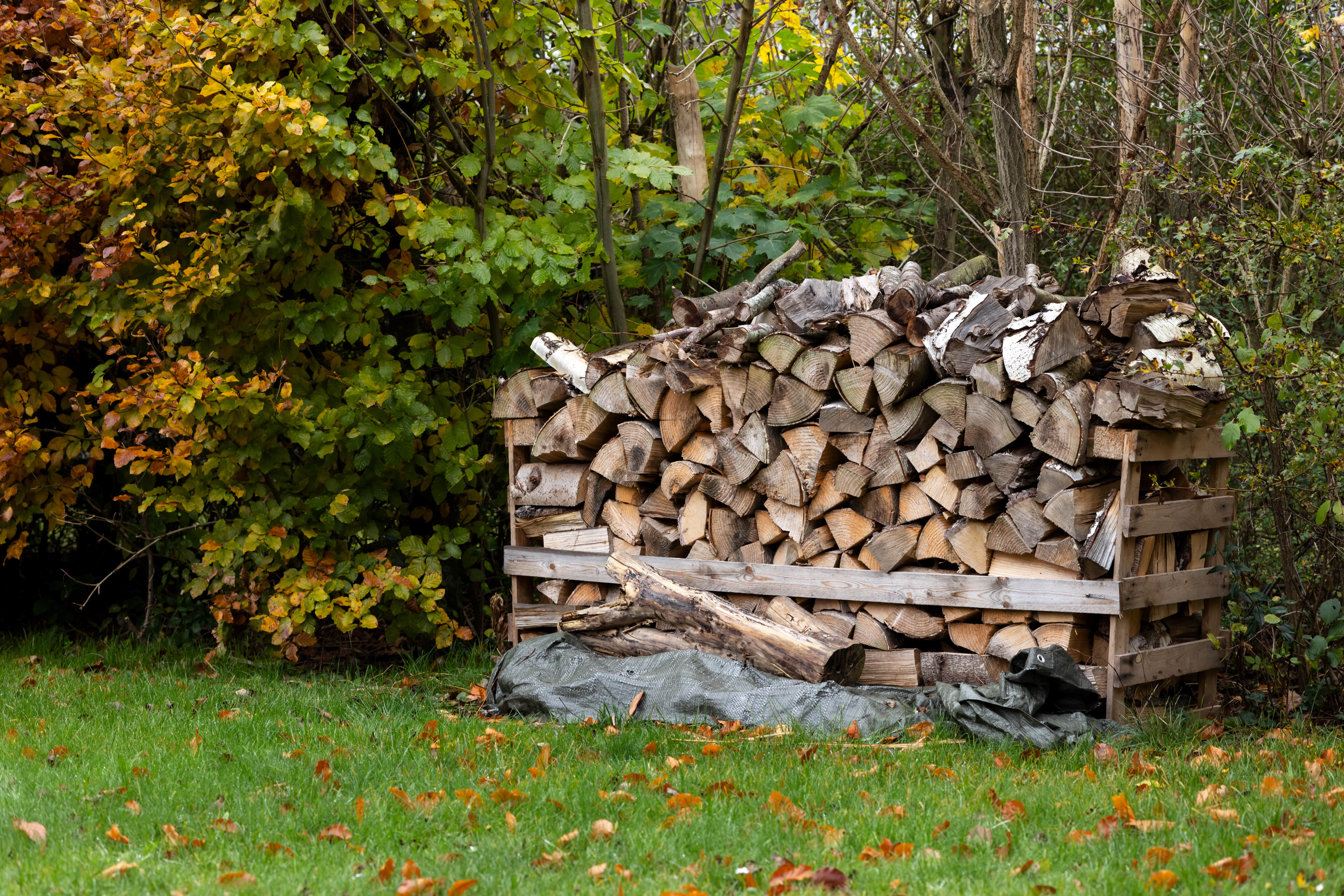 A large, cut wood pile in a person's backyard.