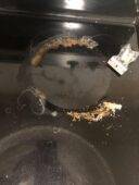 Tips For Cleaning Your Kitchen Much, Much Faster