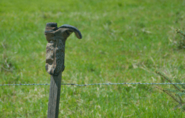 See A Boot On A Fence Post? This Is What It Means