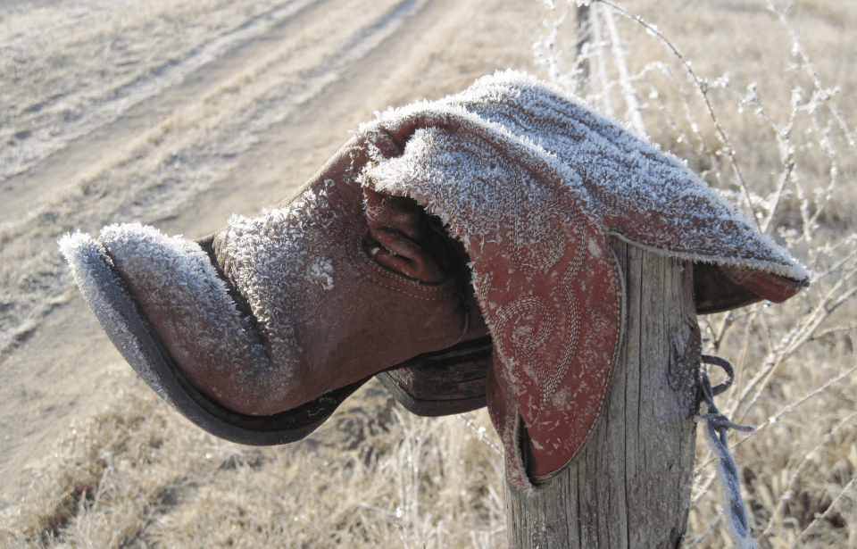 Old boot on a fence.