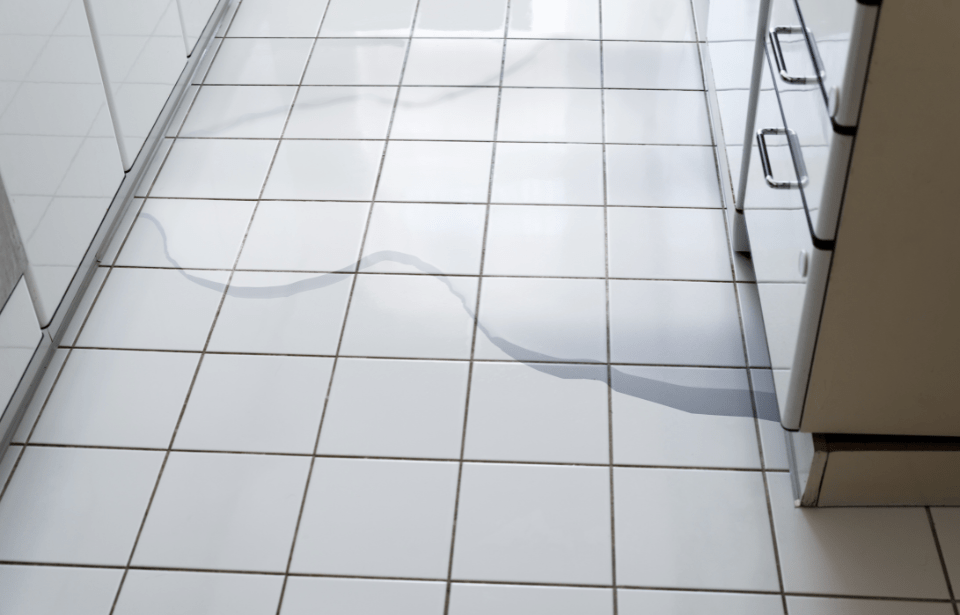 Flooded floor from broken dishwasher.