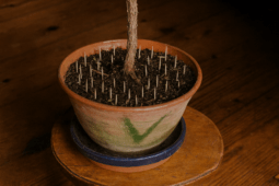 How Putting Toothpicks In Your Houseplants Can Help With Watering