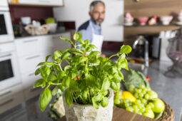 10 Fruits And Vegetables You Can Grow Indoors, Any Time Of The Year