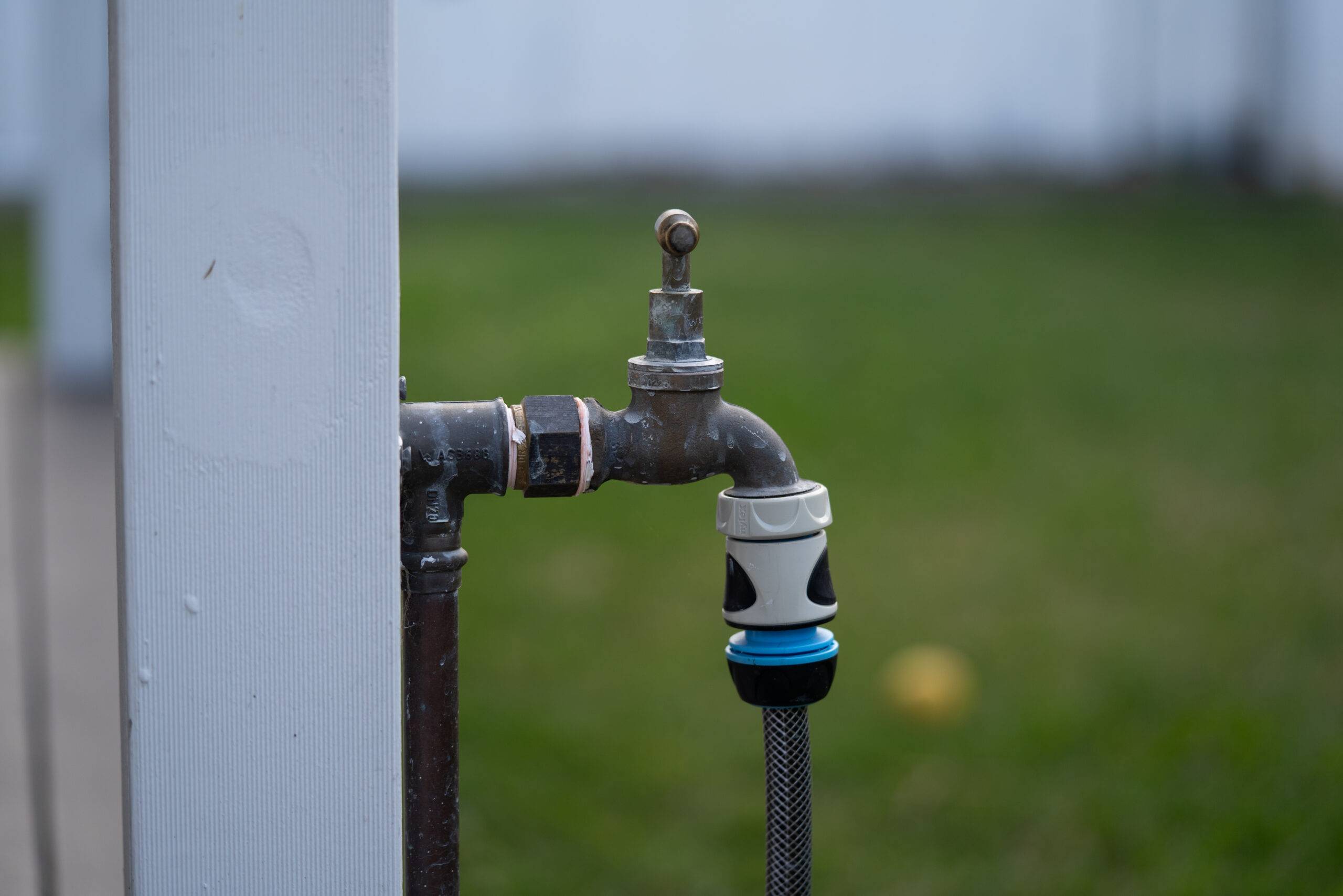 A backyard tap and hose.