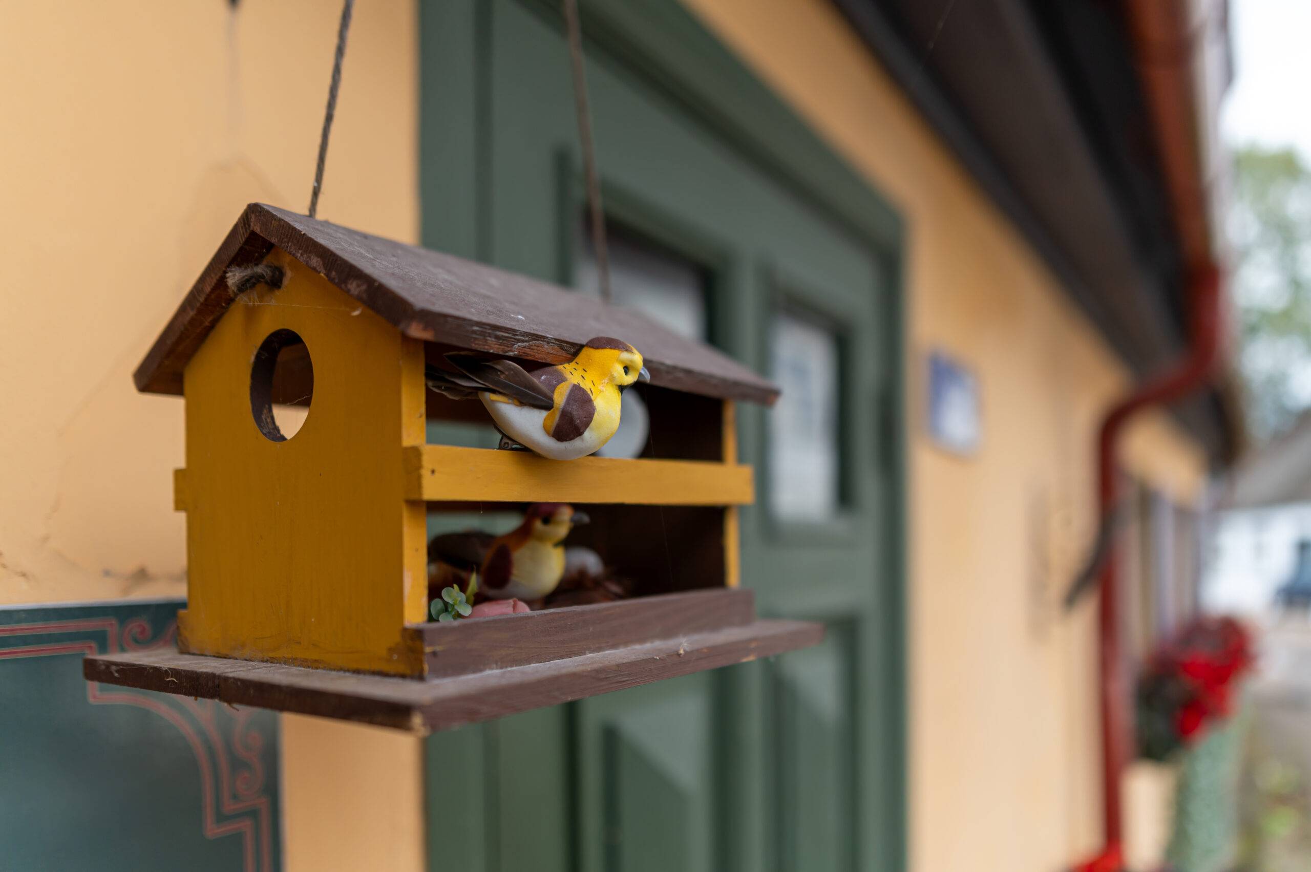Cute birdfeeder by door of a house.