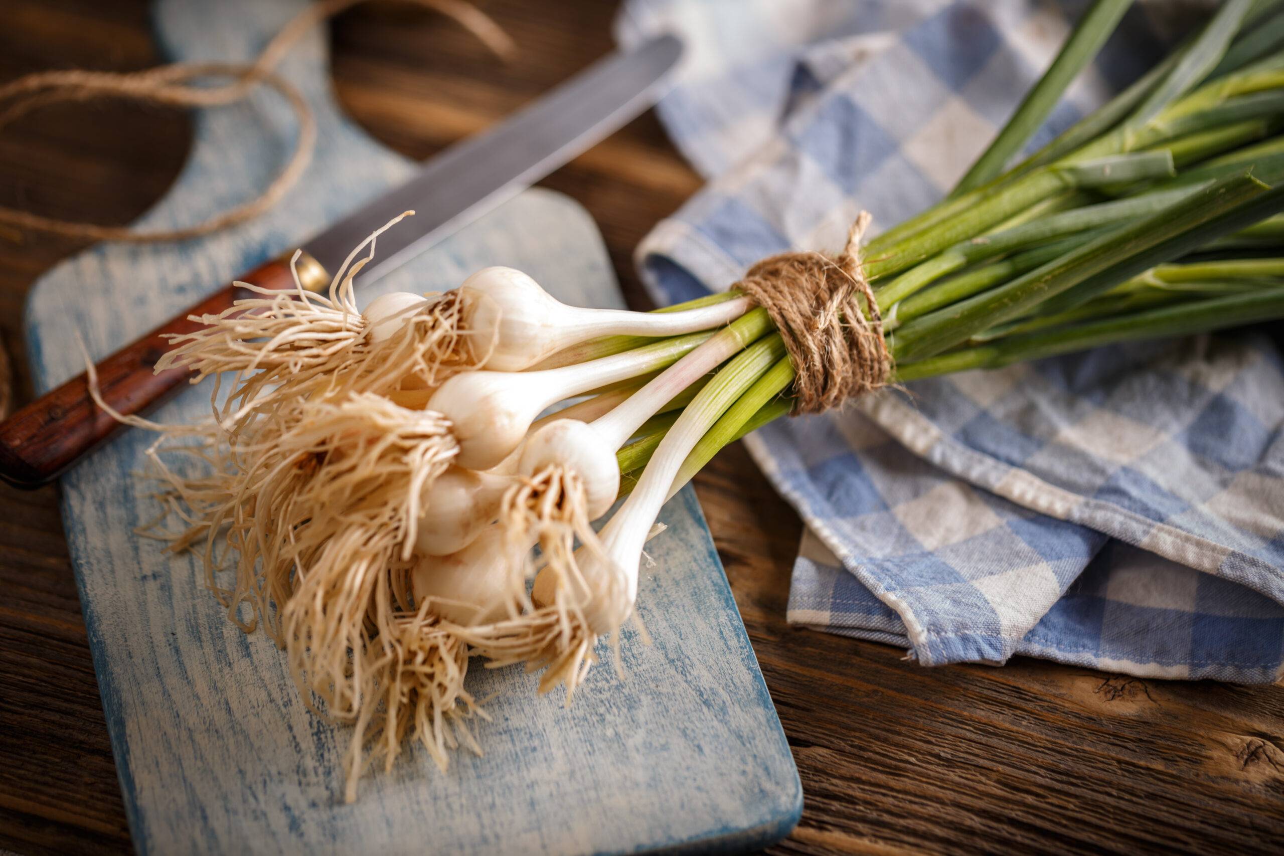 Fresh green garlic.