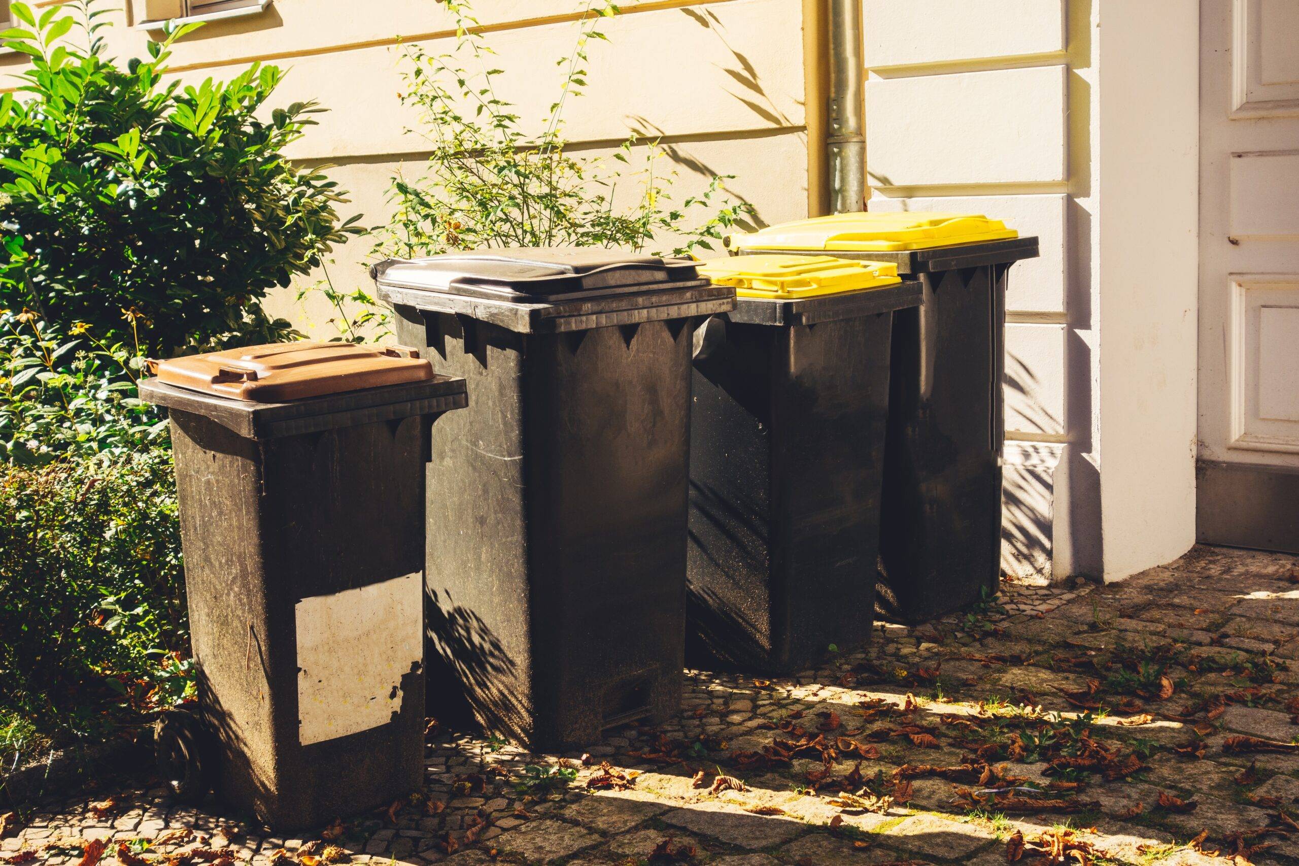 Trash and recycling bins.