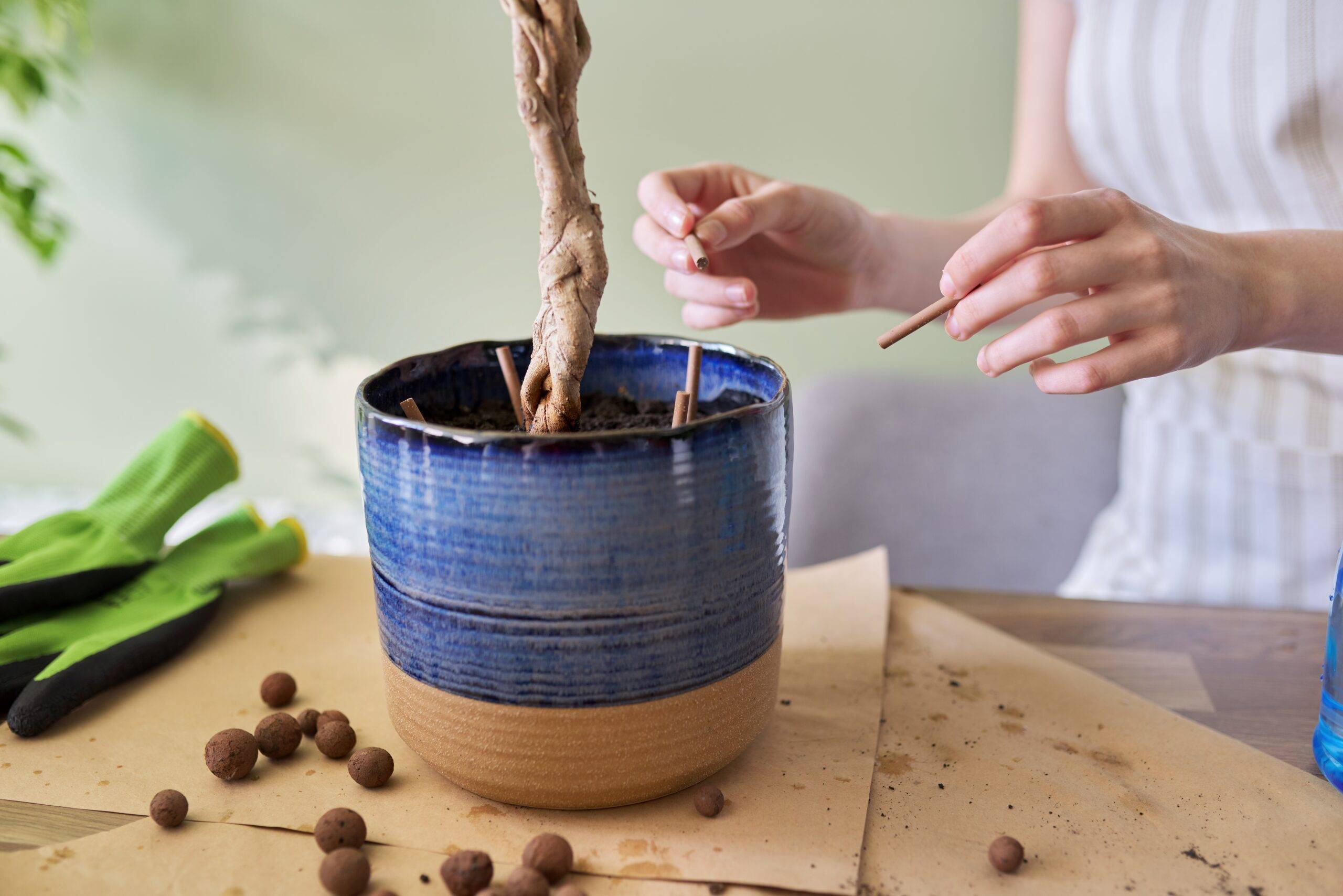 Hands putting sticks in a potted plant.