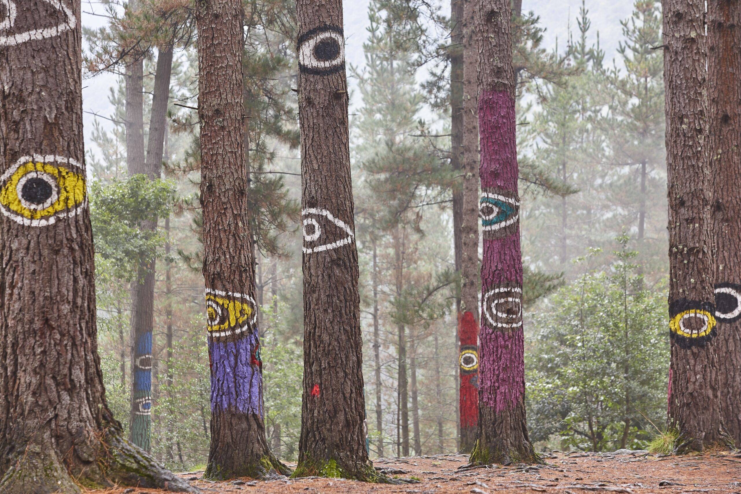 Colorful eyes painted on trees.