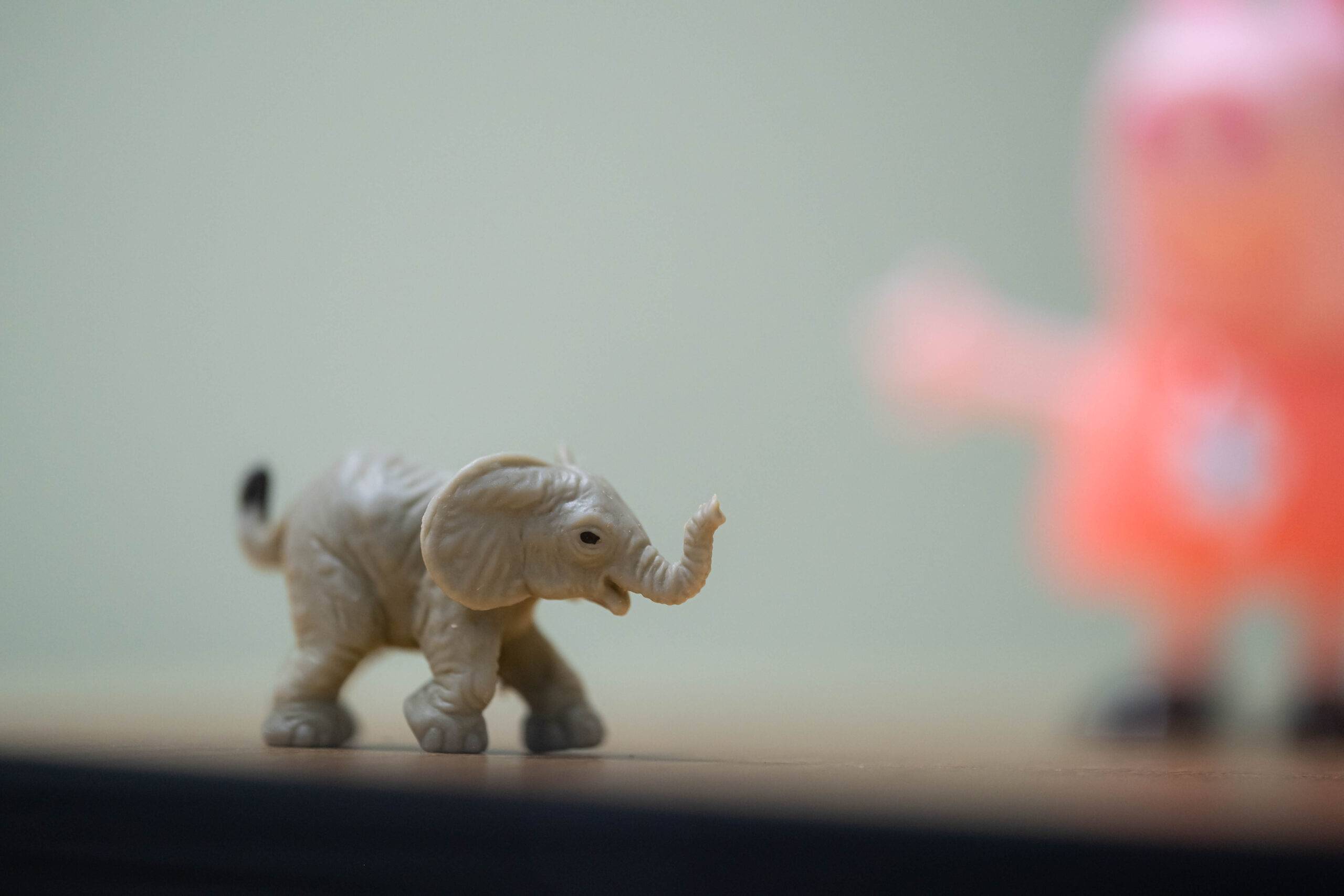 Elephant figurine in windowsill.