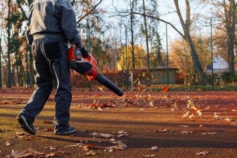Worker blowing leaves with leaf blower.
