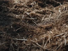 Best Time to Seed Lawn: Why Planting in Spring Is Killing Your Grass