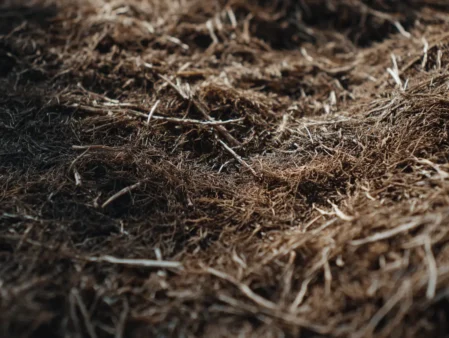 An image of dead soil or thatch.